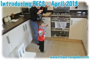 Introducing PECS