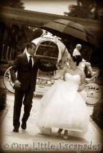 Our Disney Wedding