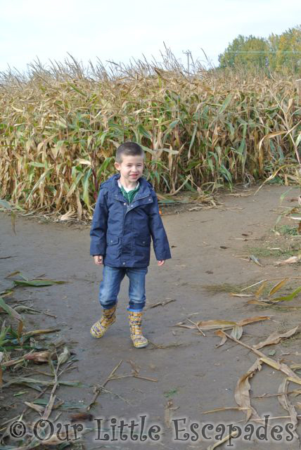 ethan maize trail