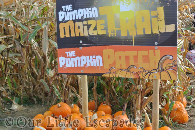 pumpkin sign pumpkin patch foxes farm colchester