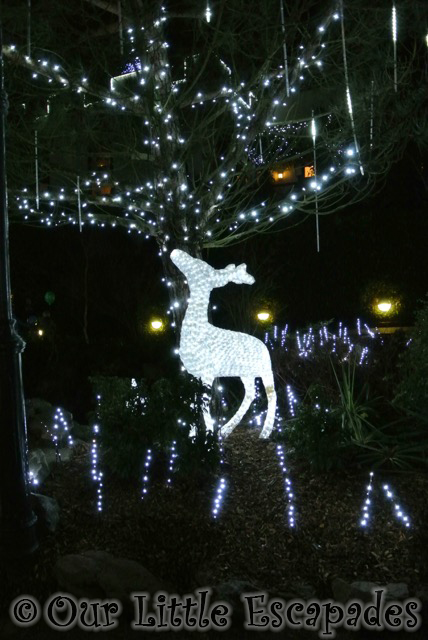 reindeer christmas lights