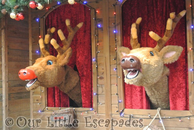 rudolph singing reindeer center parcs winter wonderland elveden forest