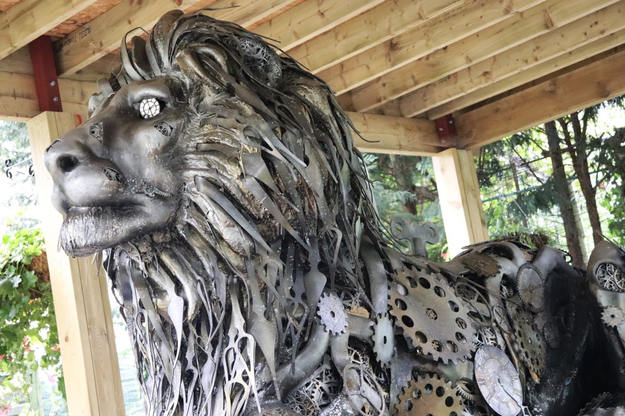 paradise wildlife park clockwork lion