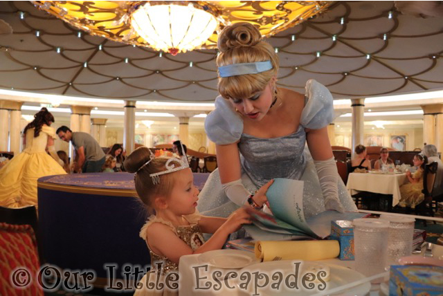 little e cinderella autograph book