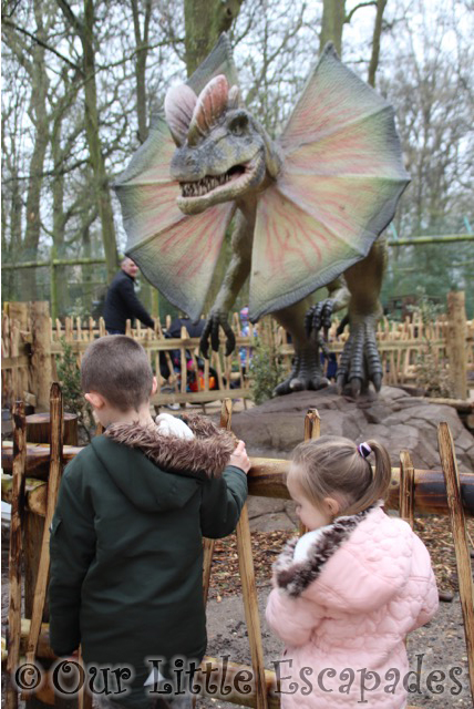 world of dinosaurs dilophosaurus paradise wildlife park