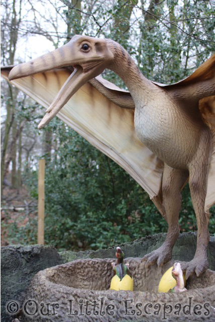 pteranodon