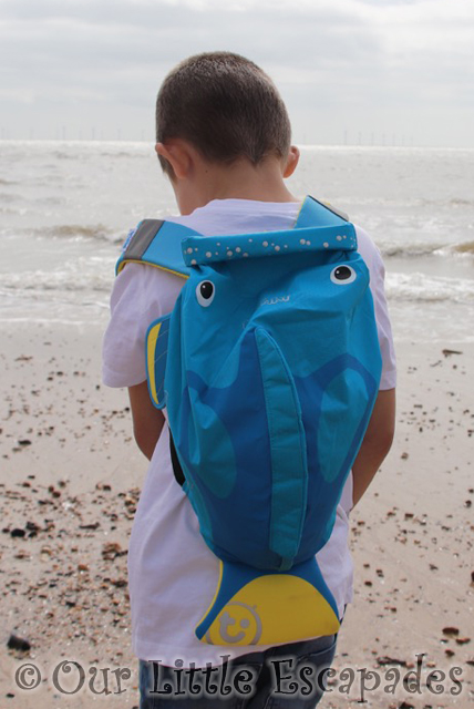 trunki paddlepak tang tropical fish