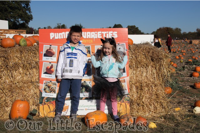 pumpkin sign ethan little e