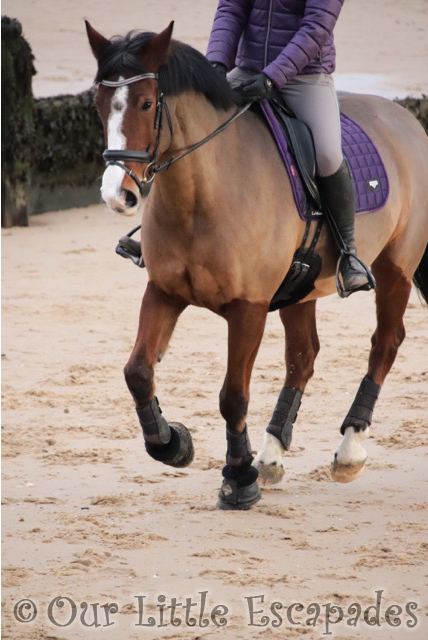 visiting frinton on sea on new years day horse riding