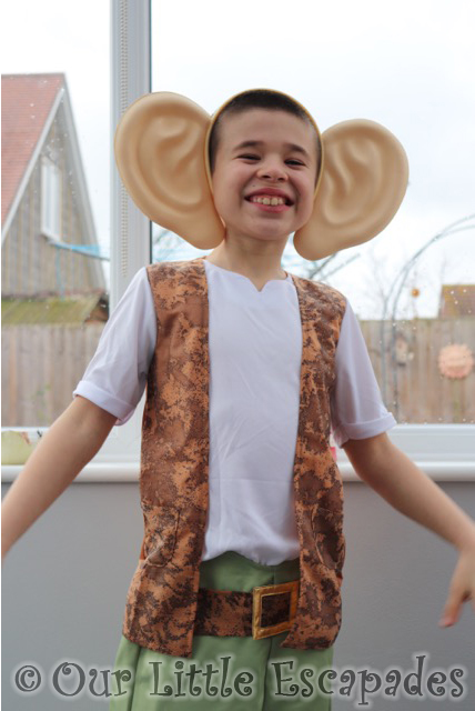 bfg roald dahl world book day costume