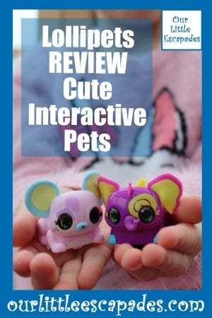 Interactive pets store