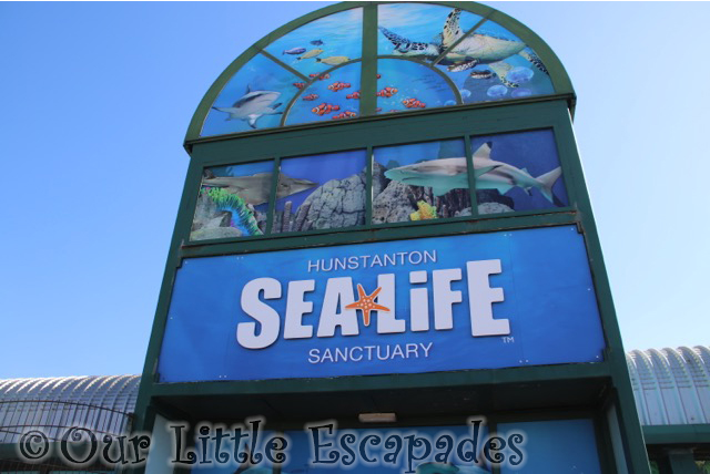 hunstanton sea life sanctuary