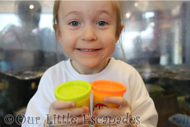 jawsome shark ranger play doh special reward