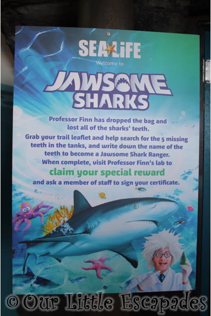 jawsome sharks sea life poster