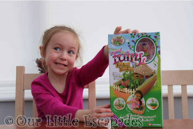 Fairy Kitchen Garden REVIEW