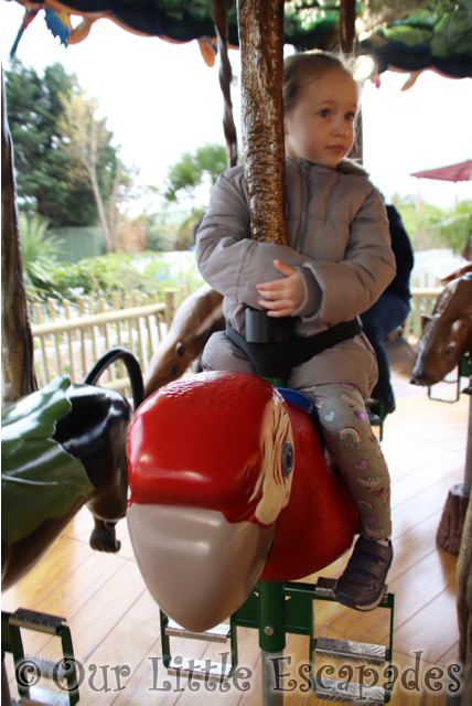 little e macaw rainforest carousel drusillas park