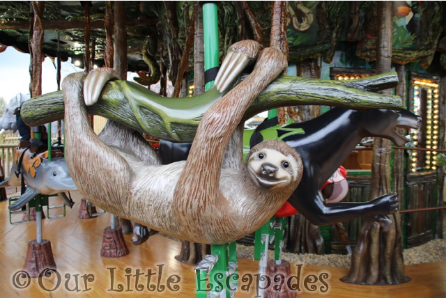 two toed sloth