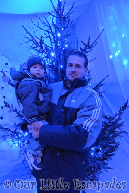 darren ethan christmas tree colchester zoo christmas grotto