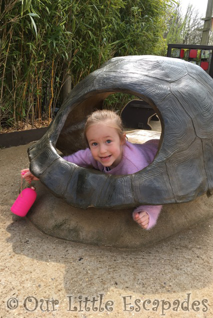 little e tortoise shell girly trip to colchester zoo