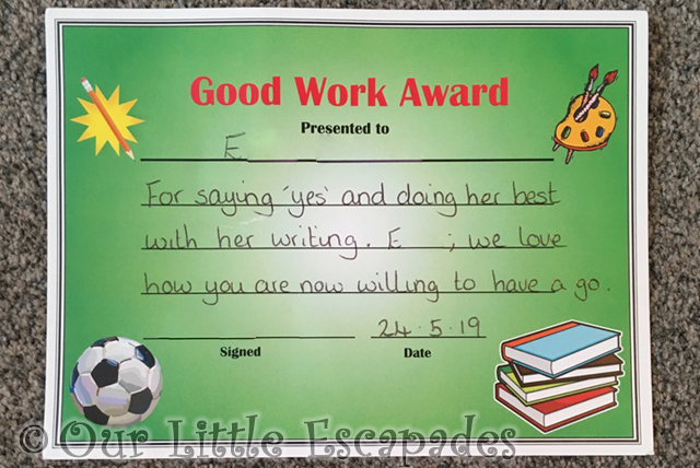 little e good work award First Year of School