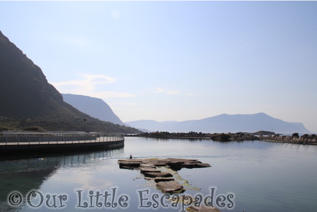 mountain view atlanterhavsparken alesund norwegian aquarium