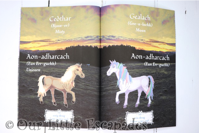 na gaidheil inner pages unicorns