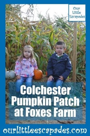 Colchester Pumpkin Patch at Foxes Farm