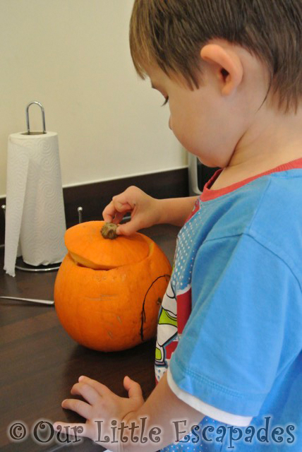 ethan looking pumpkin pumpkin carving halloween 2013