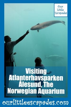 Visiting Atlanterhavsparken Alesund The Norwegian Aquarium