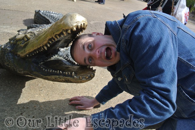 darrens head bronze crocodile 