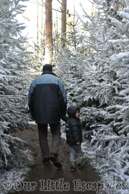 darren ethan walking snowy forest lapland uk superstar day