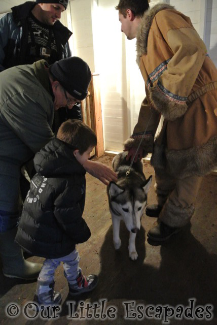 ethan grandpa stroking husky