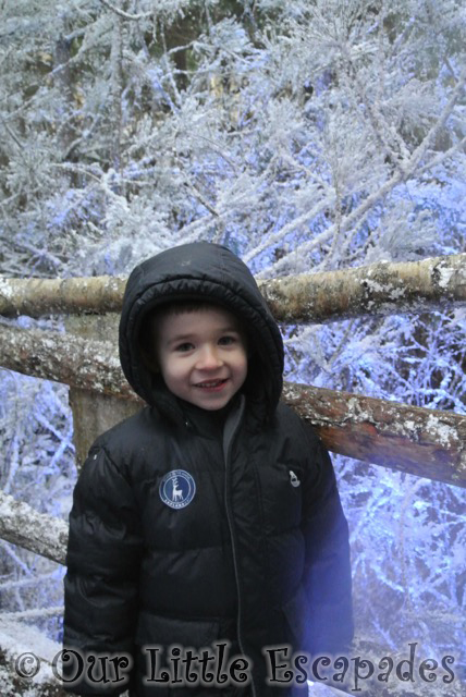 ethan snowy forest