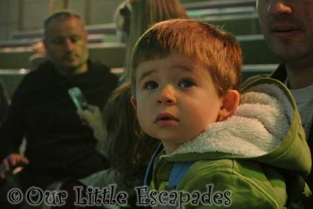 ethan watching in the night garden projections toddler to in the night garden live