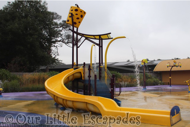 water slide water bucket dippys splash zone roarr dinosaur adventure