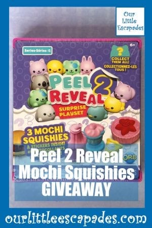 Peel 2 Reveal Mochi Squishies GIVEAWAY