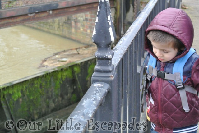 ethan watching river my sunday photo