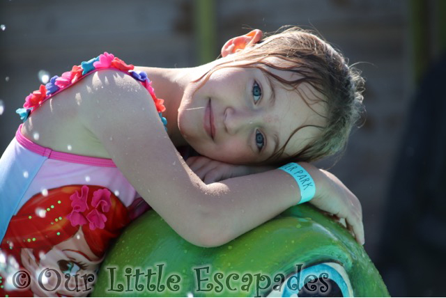 little e resting turtle clacton pavilion water park