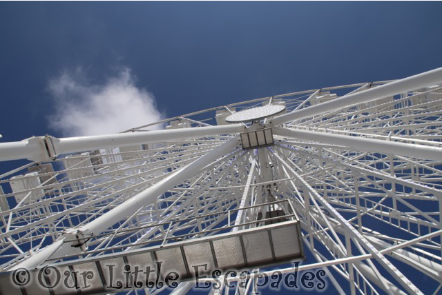 looking up clactons 150th anniversary wheel clacton pavilion wheel