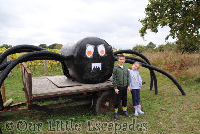 ethan little e giant spider prettyfields vineyard