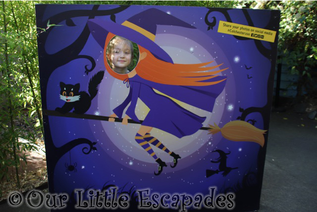 little e witch on a broom halloween board