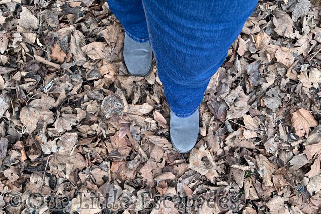 grey boots walking autumn leaves 2022 Week 4