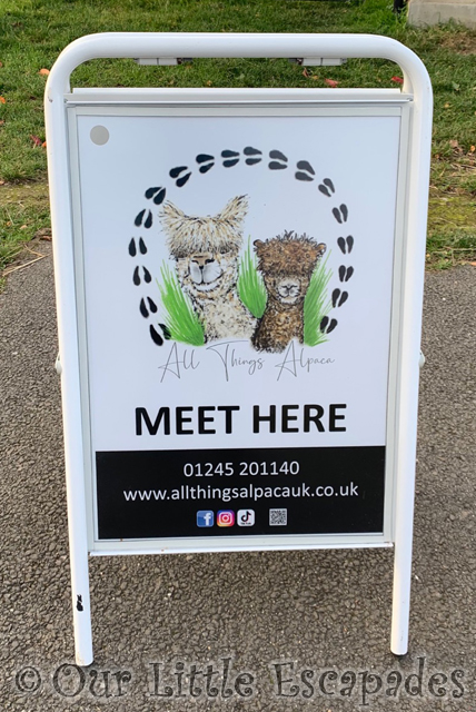 all things alpaca sign alpaca trekking chelmsford