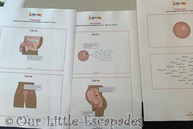 jigsaw changing me worksheets project 365 2023