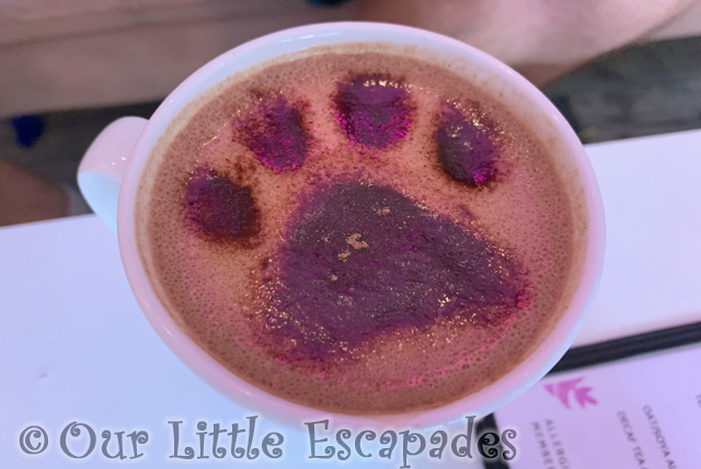 chocolate dusted paw print hot chocolate meow cat cafe