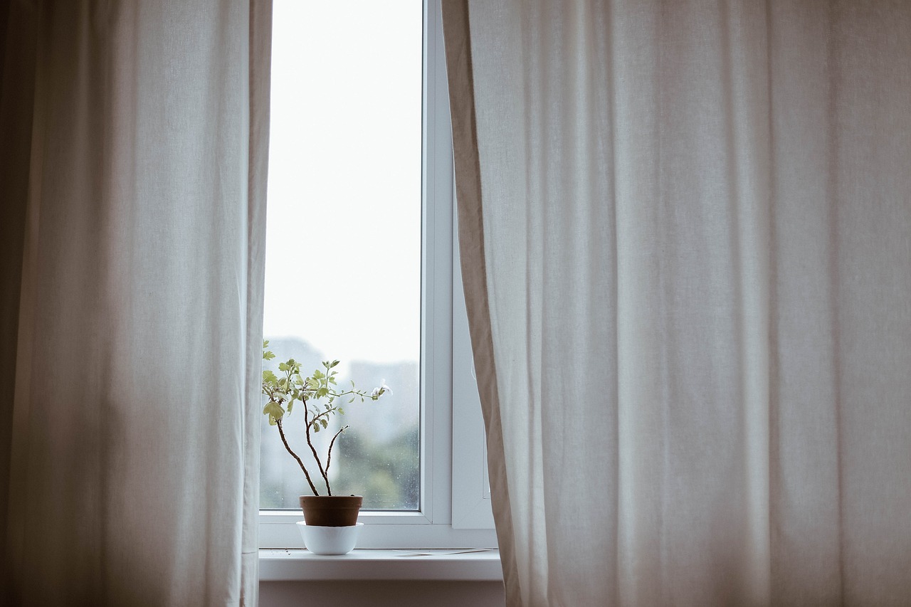 curtains decoration indoors plant